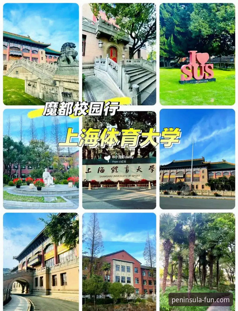 半岛娱乐平台常见问题 半岛体育平台常见问题全面解析:从注册到下载的实战指南